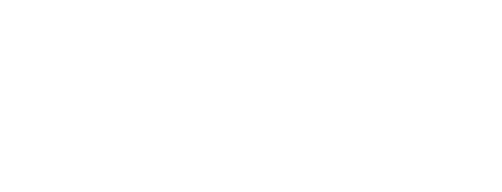logobranco-e1739968171357.png